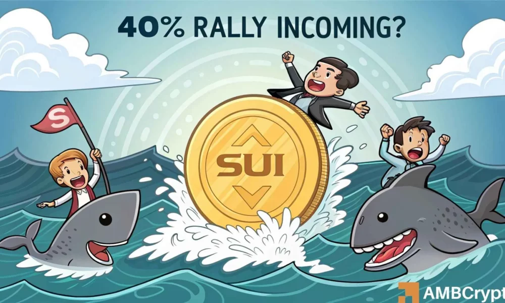 Sui Price爆炸了10%,4000万美元的流入率在即将减半之前进行了交流